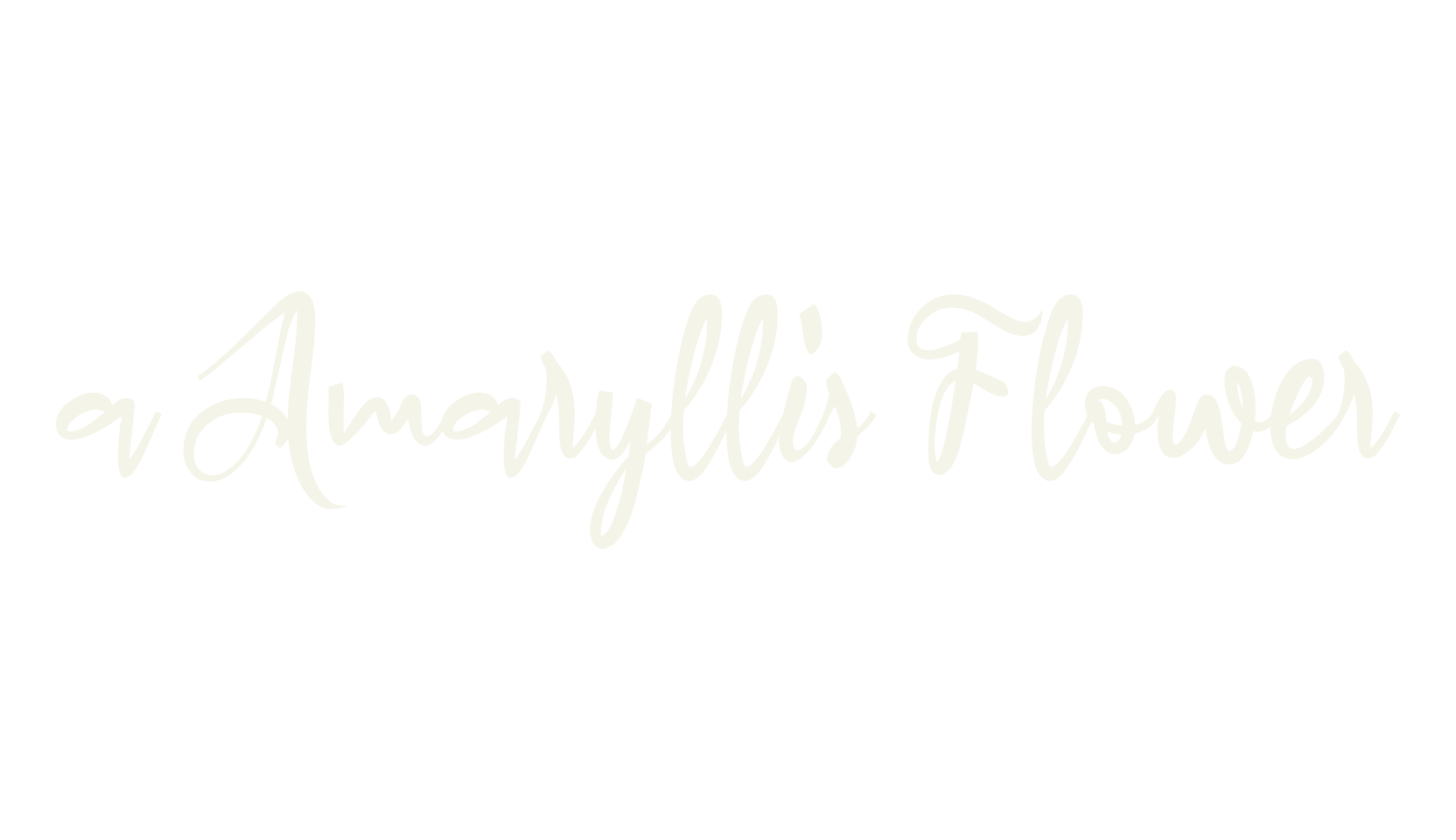 a Amaryllis Flower, fashion script font preview