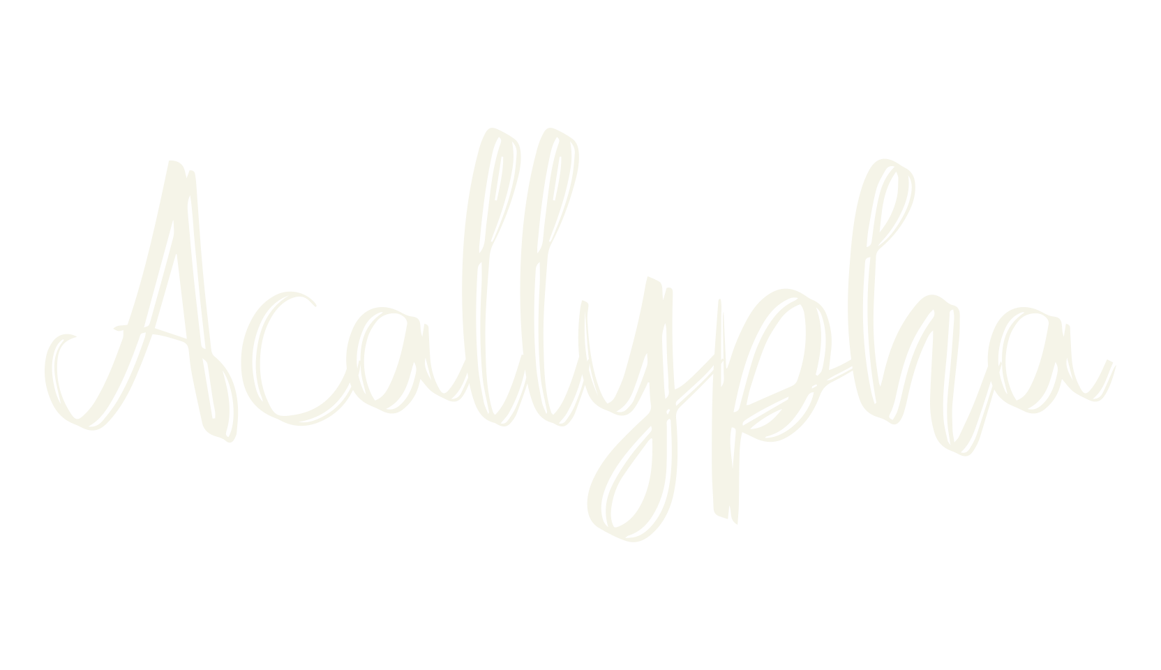 Acallypha, fancy font preview