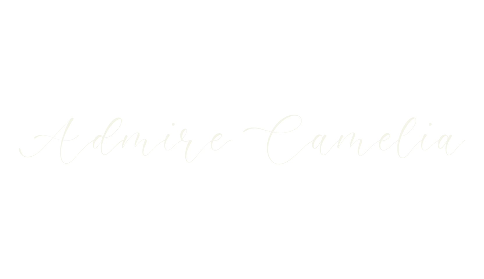 Admire Camelia, calligraphy font preview