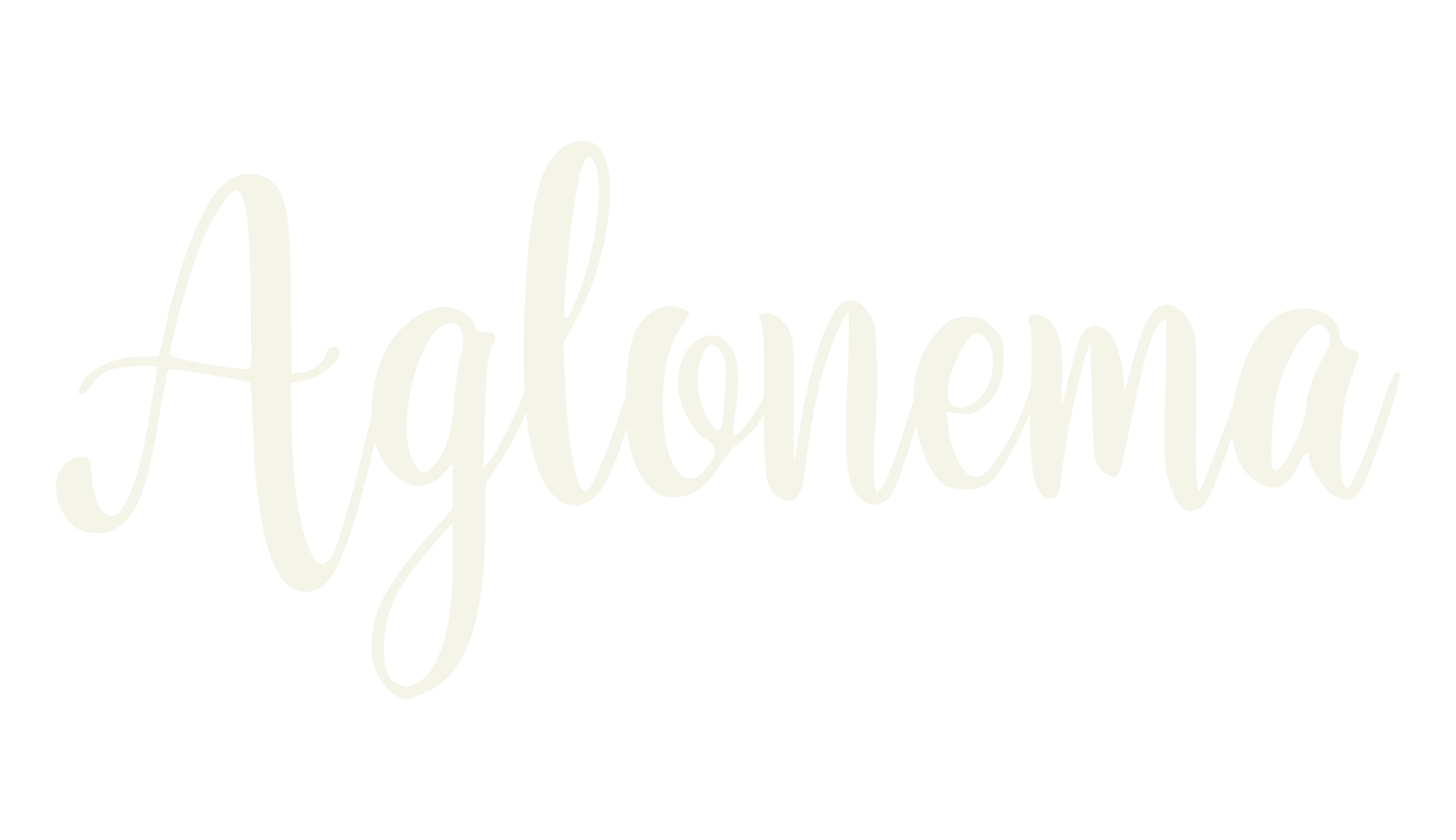 Aglonema, handwriting font preview