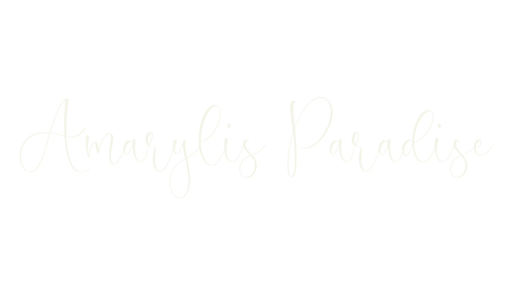 Amarylis Paradise, calligraphy font preview