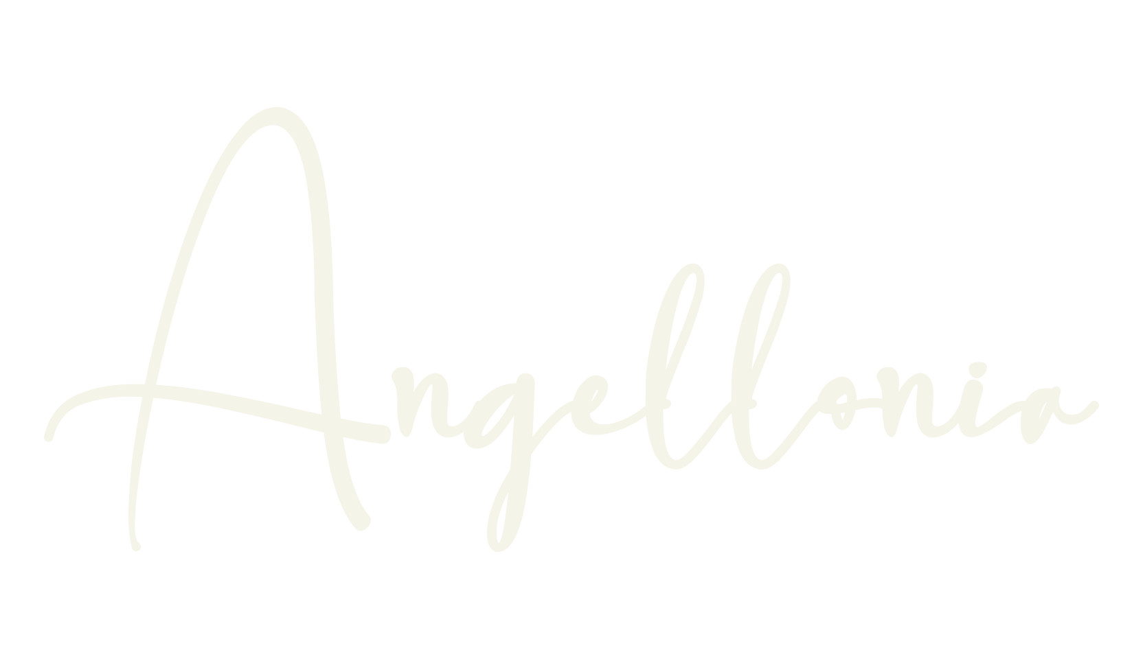 Angellonia, calligraphy font preview