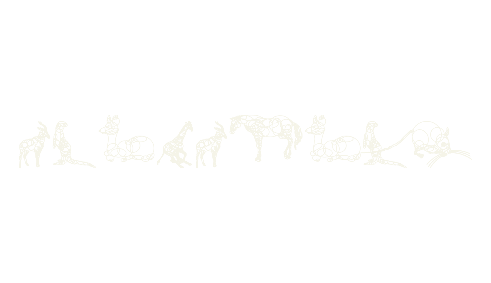 animaline, display market font preview