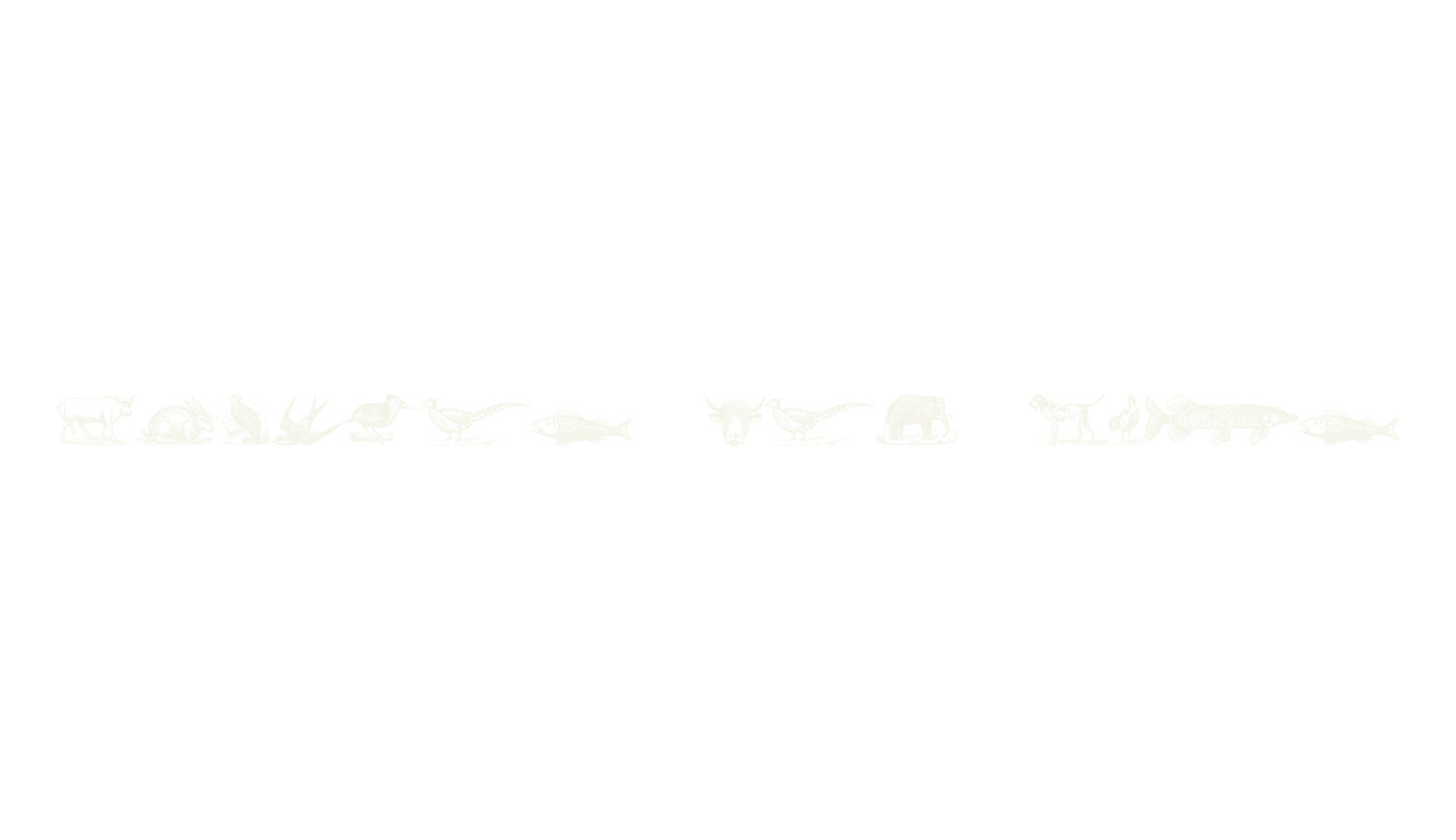 Animals Old Cuts, display market font preview