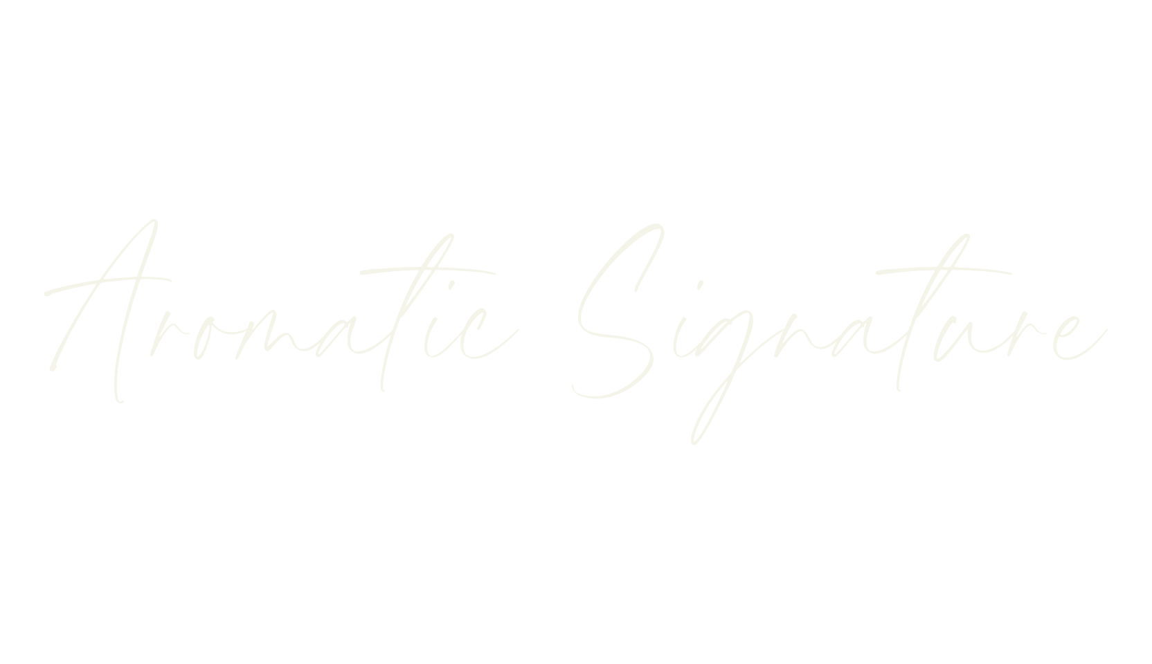 Aromatic Signature, calligraphy font preview