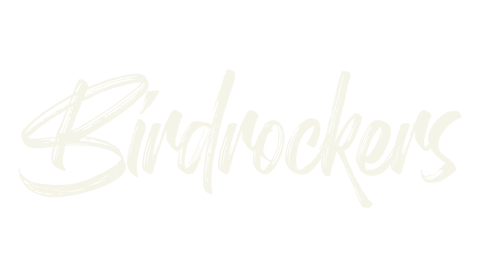 Birdrockers, hand drawn font preview