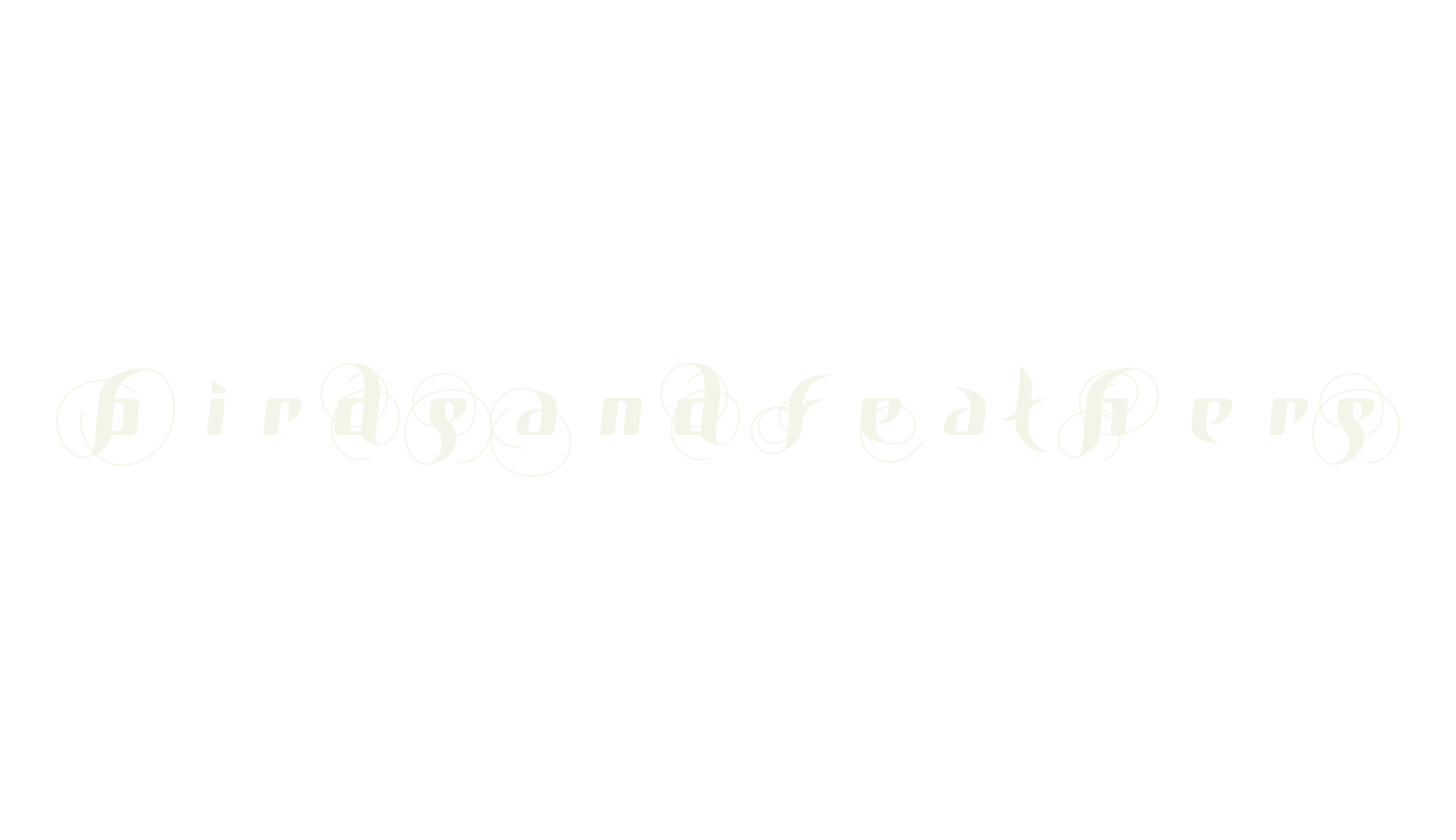 BirDSAnDFEatHerS, fashion script font preview