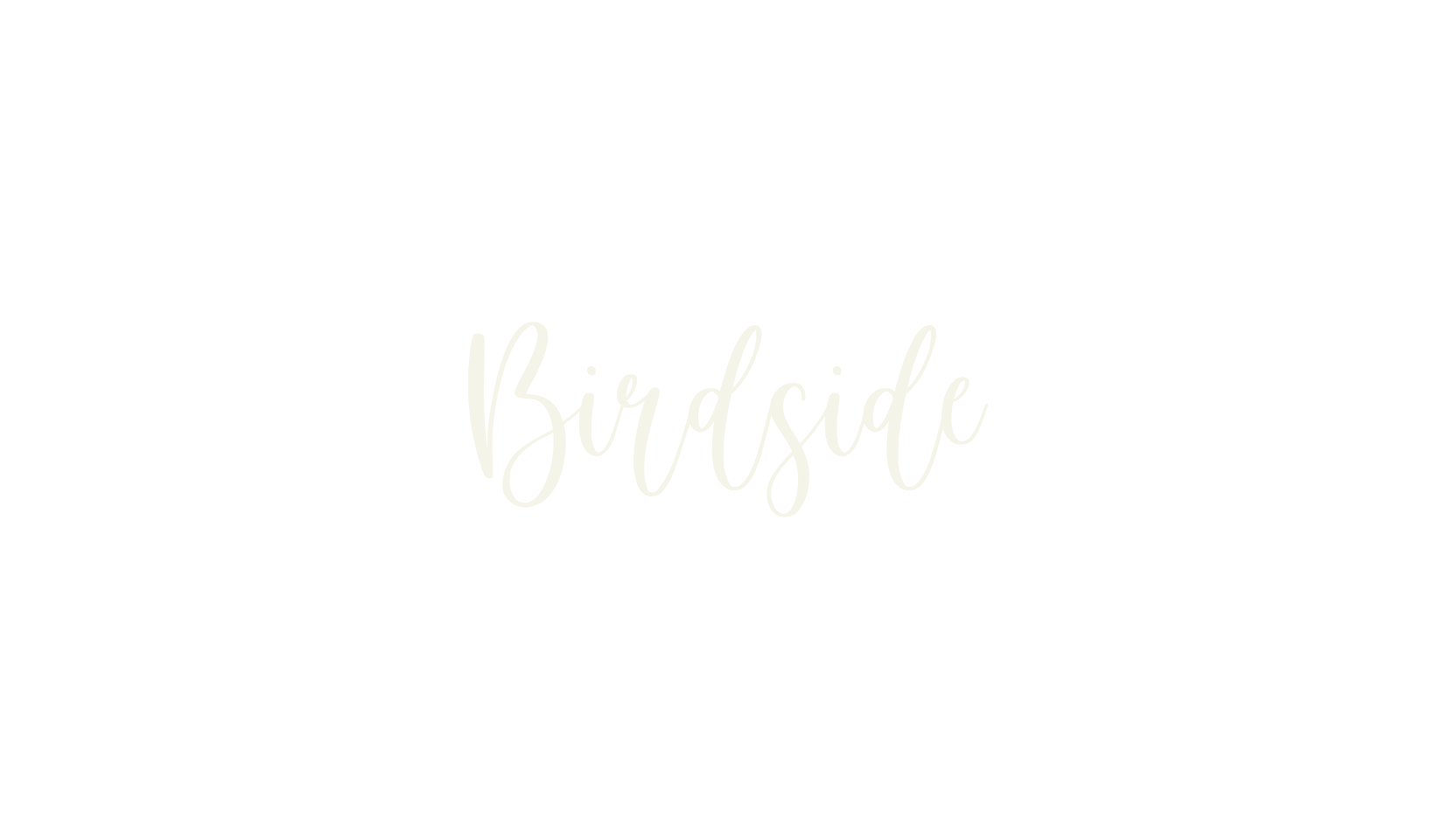 Birdside, fashion script font preview