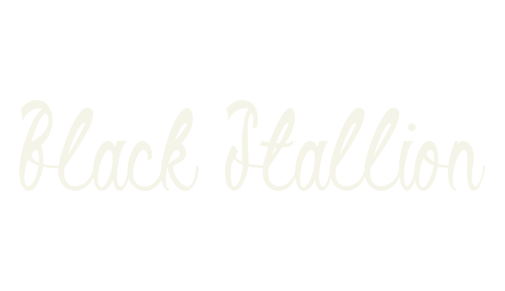 Black Stallion, fashion script font preview