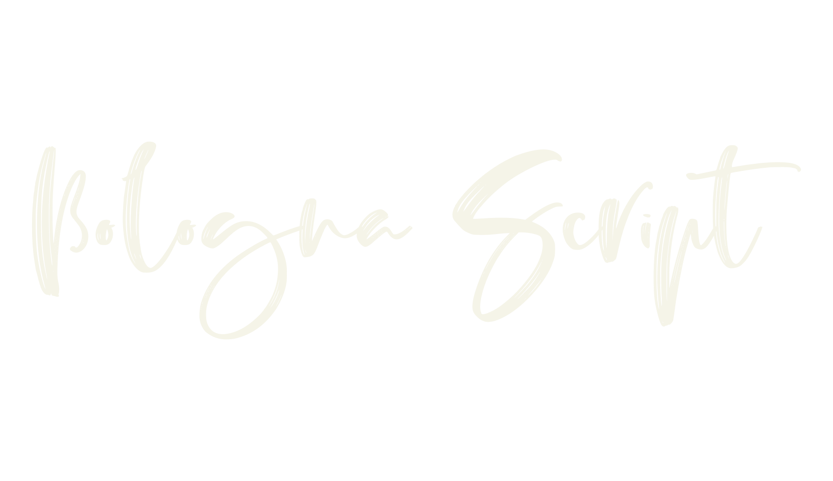 Bologna Script, elegant font preview