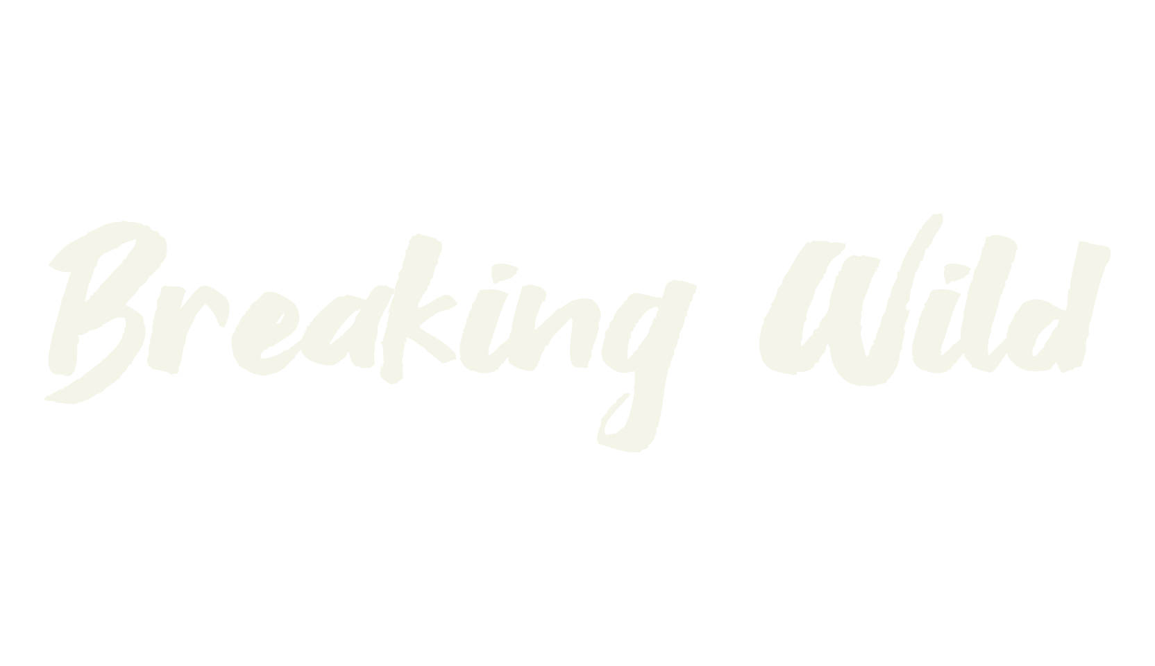 Breaking Wild, fashion script font preview