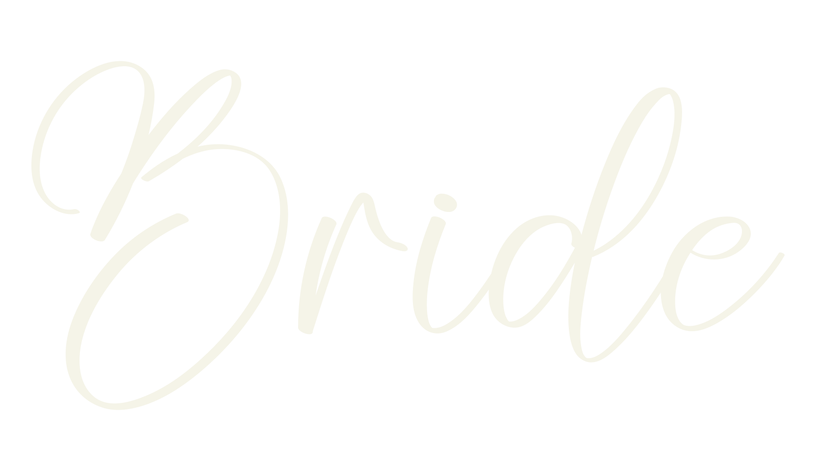 Bride, fashion script font preview