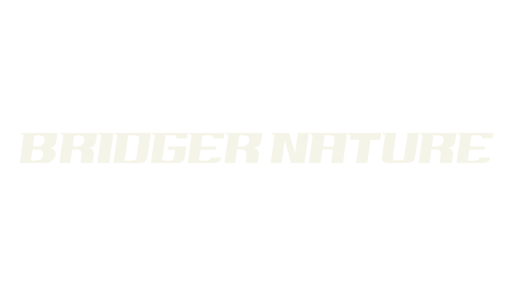 BRIDGER NATURE, bold font preview