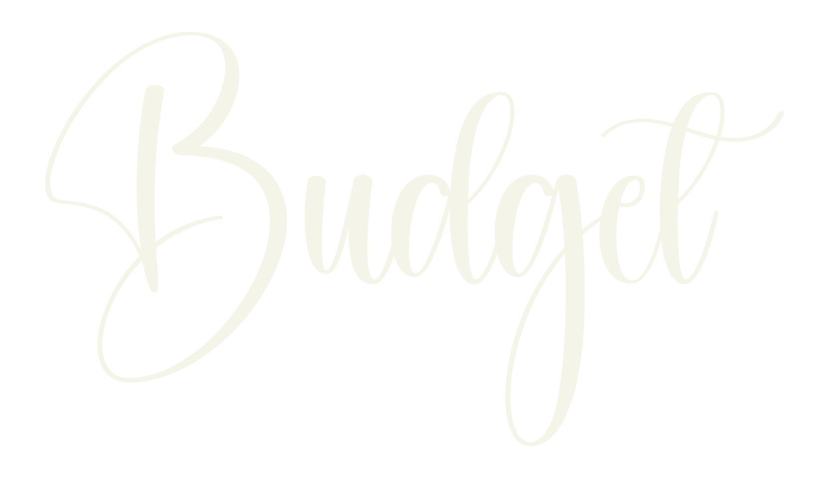 Budget, fashion script font preview