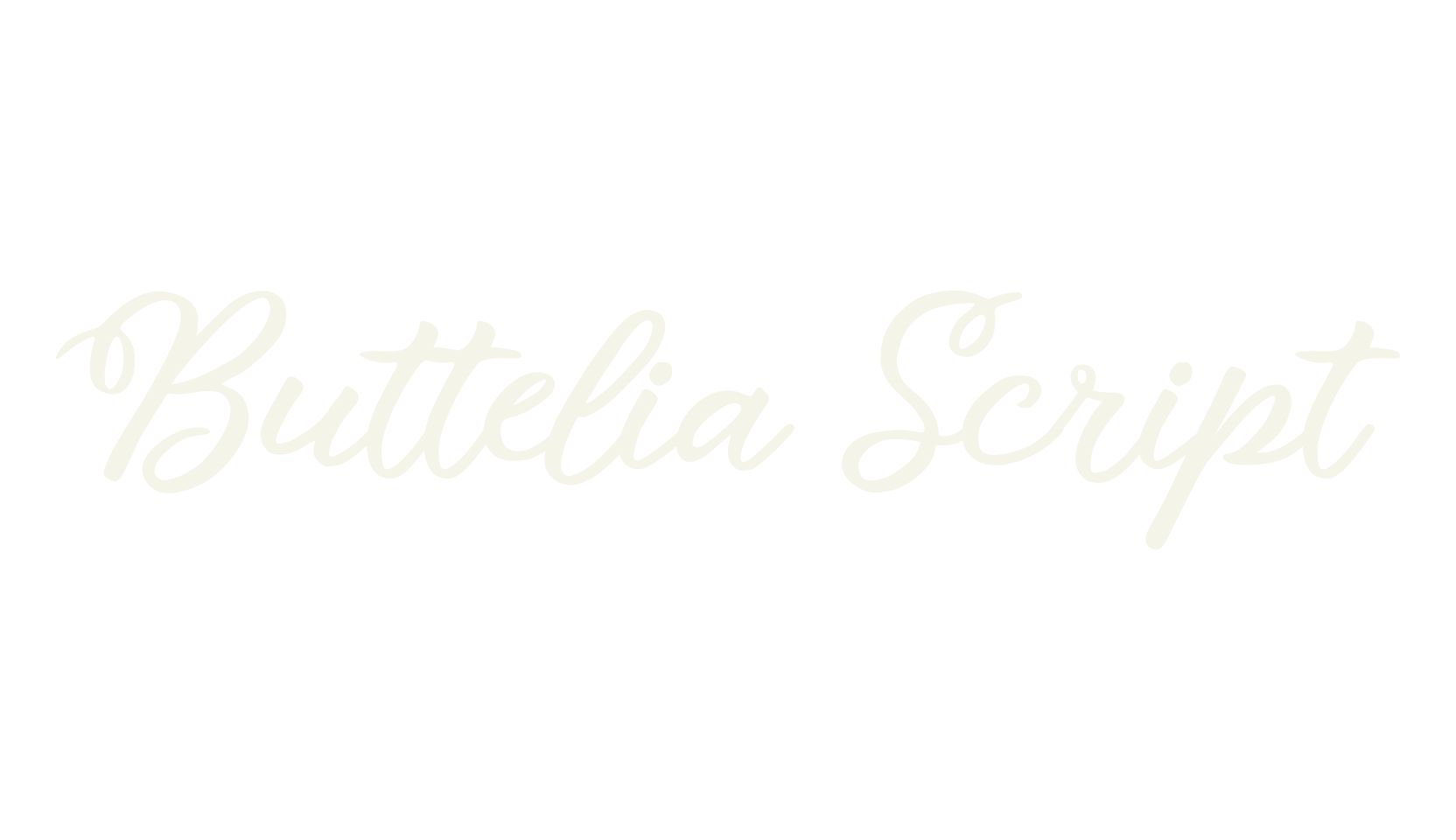 Buttelia Script, wedding font preview