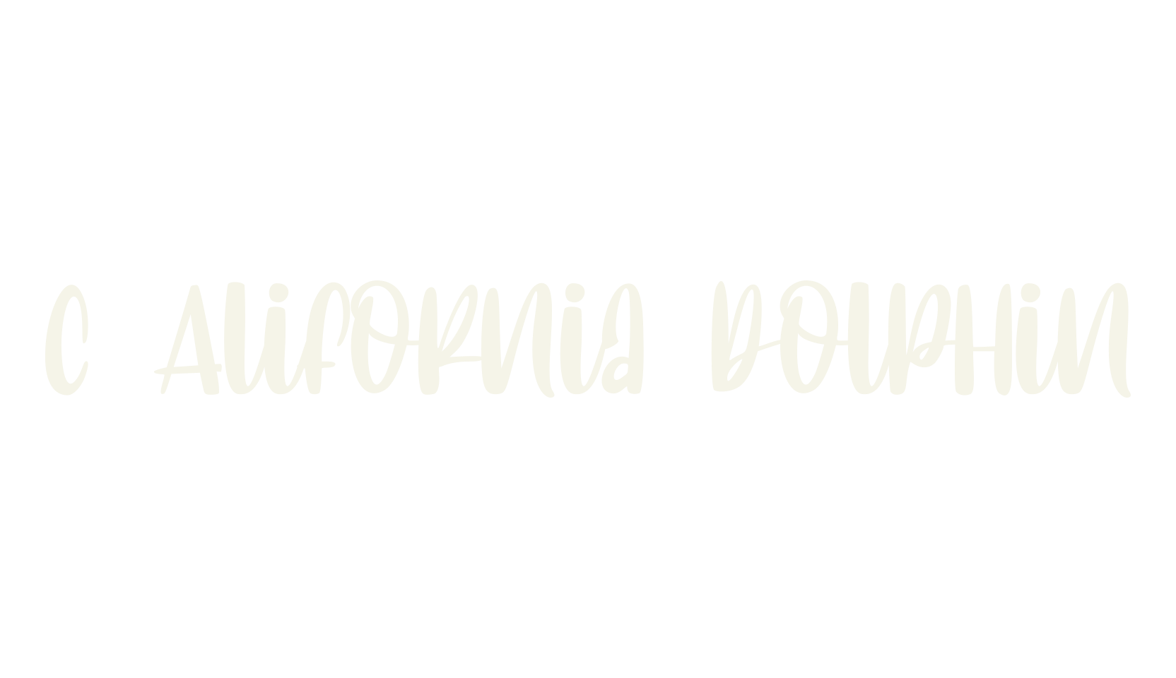 C Alifornia dolphin, comic sans font preview