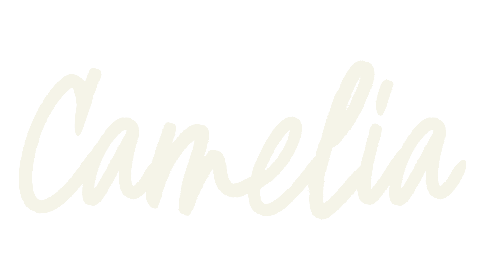 Camelia, script font preview