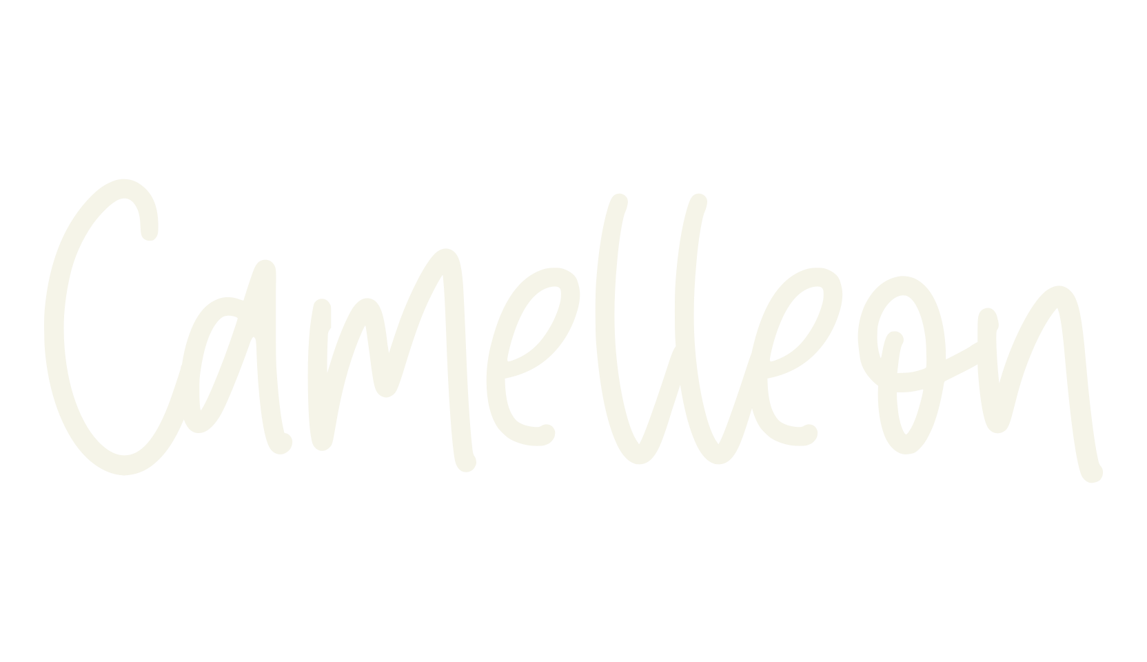 Camelleon, fashion script font preview