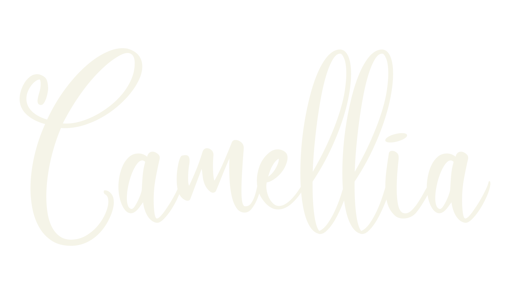 Camellia, fashion sign font preview