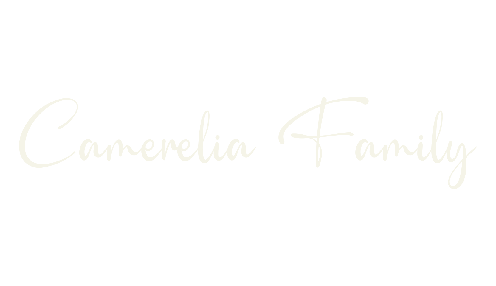Camerelia Family, 80s font preview