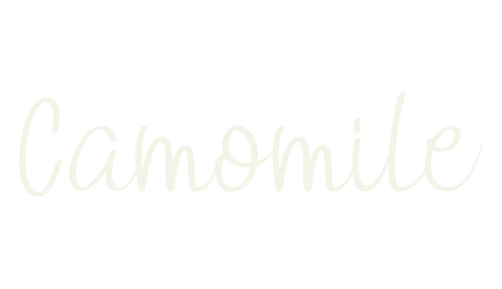 Camomile, business font preview