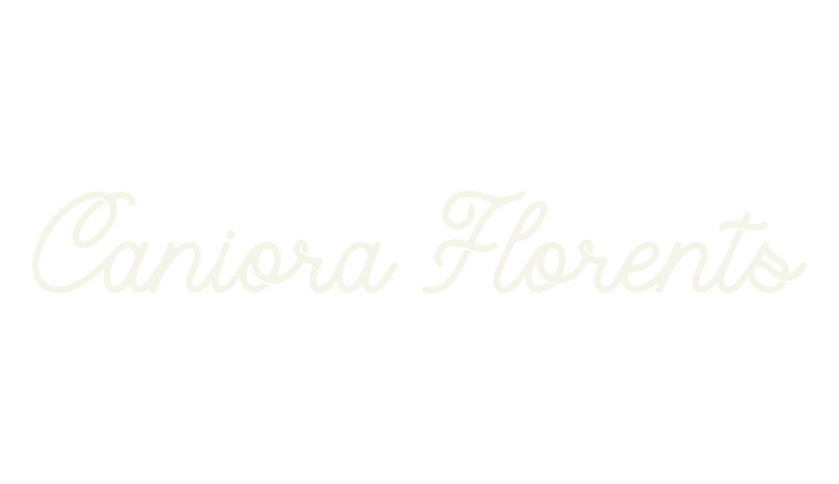 Caniora Florents, cursive font preview