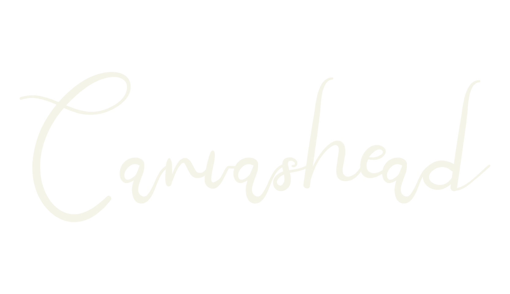 Canvashead, calligraphy font preview