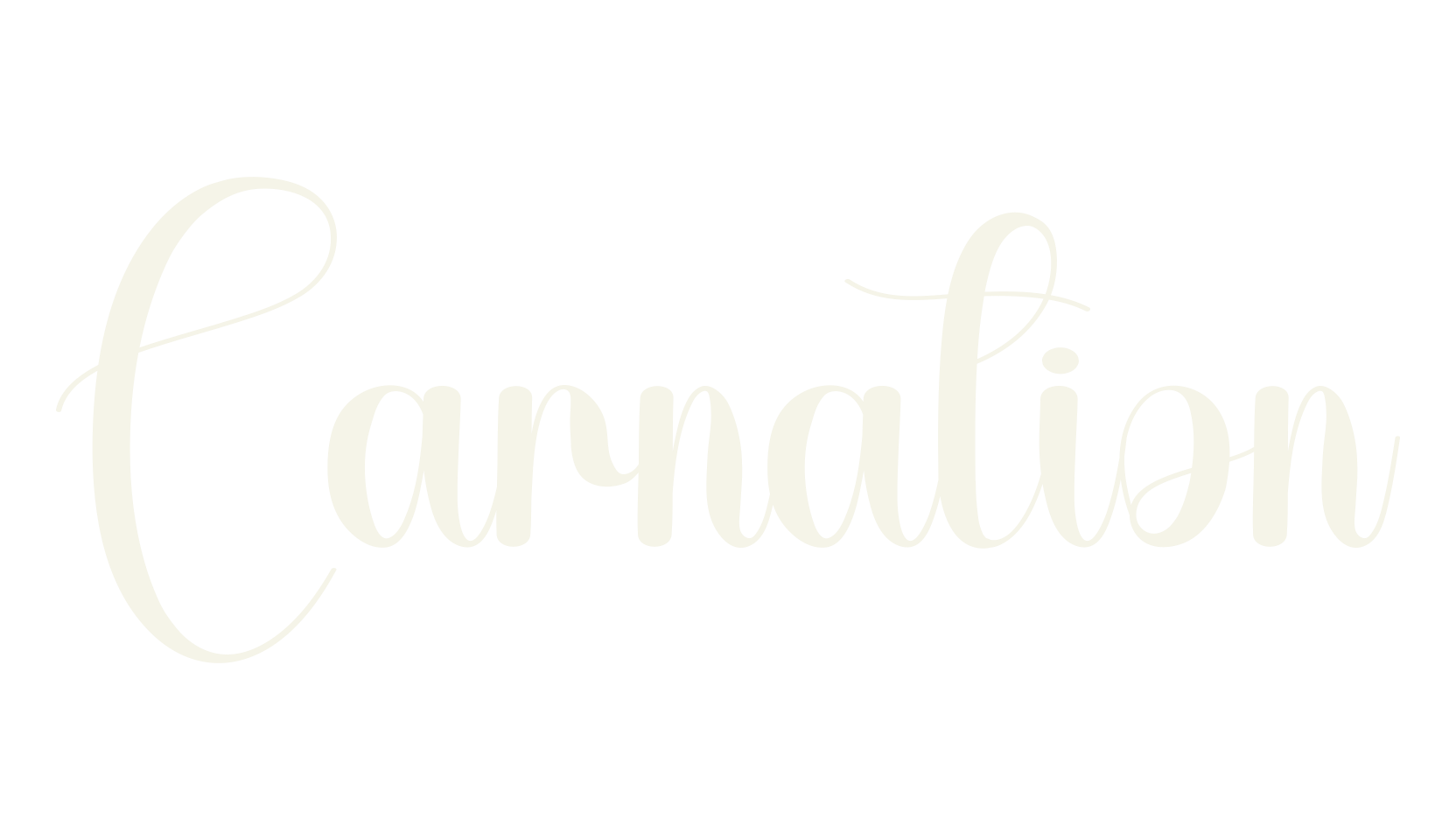 Carnation, calligraphy font preview
