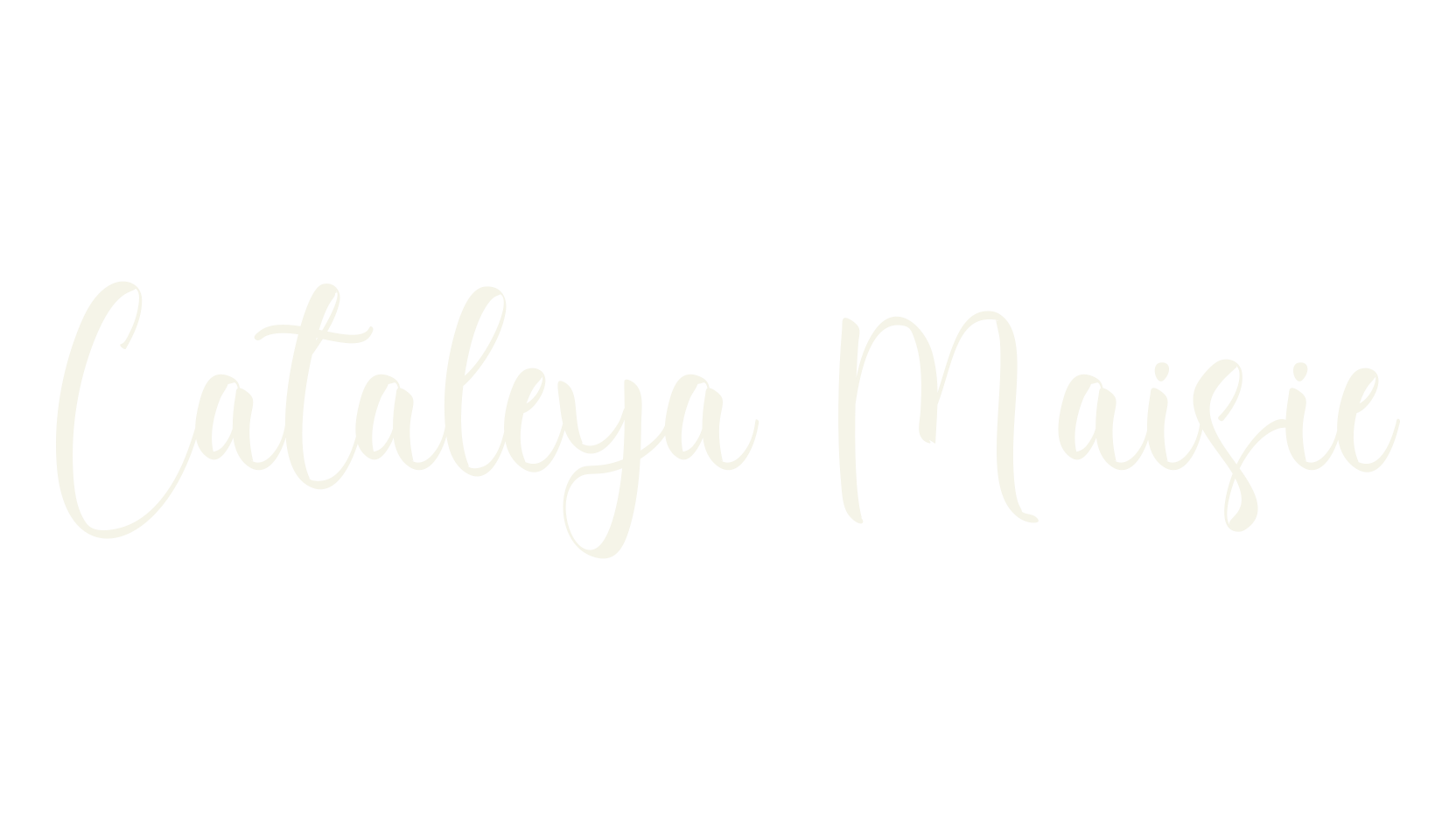 Cataleya Maisie, calligraphy font preview