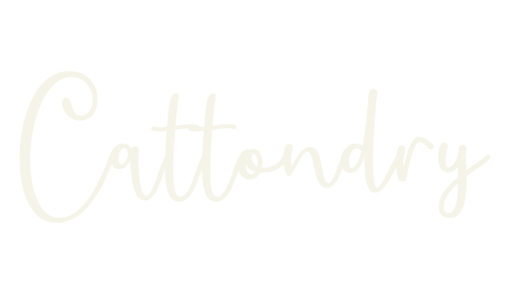 Cattondry, cursive font preview