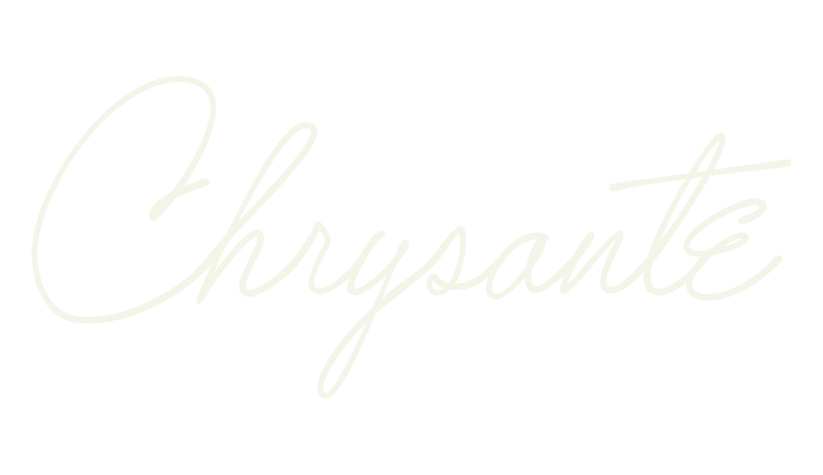 Chrysante, fashion script font preview
