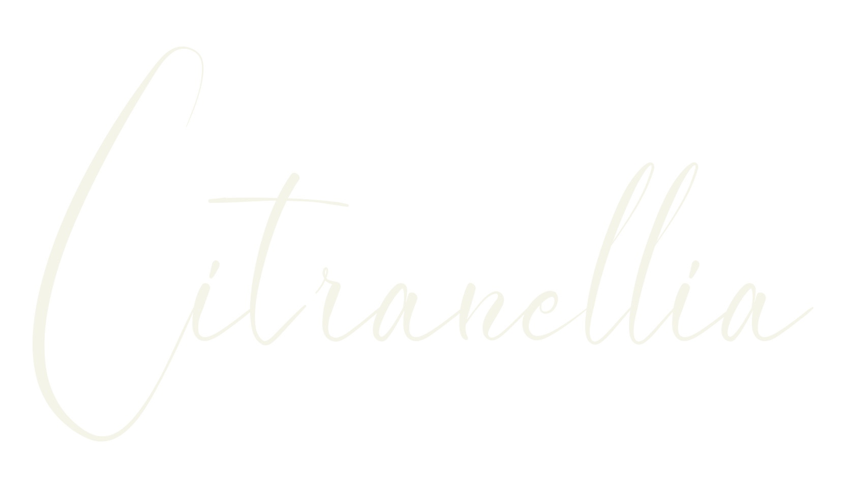 Citranellia, calligraphy font preview