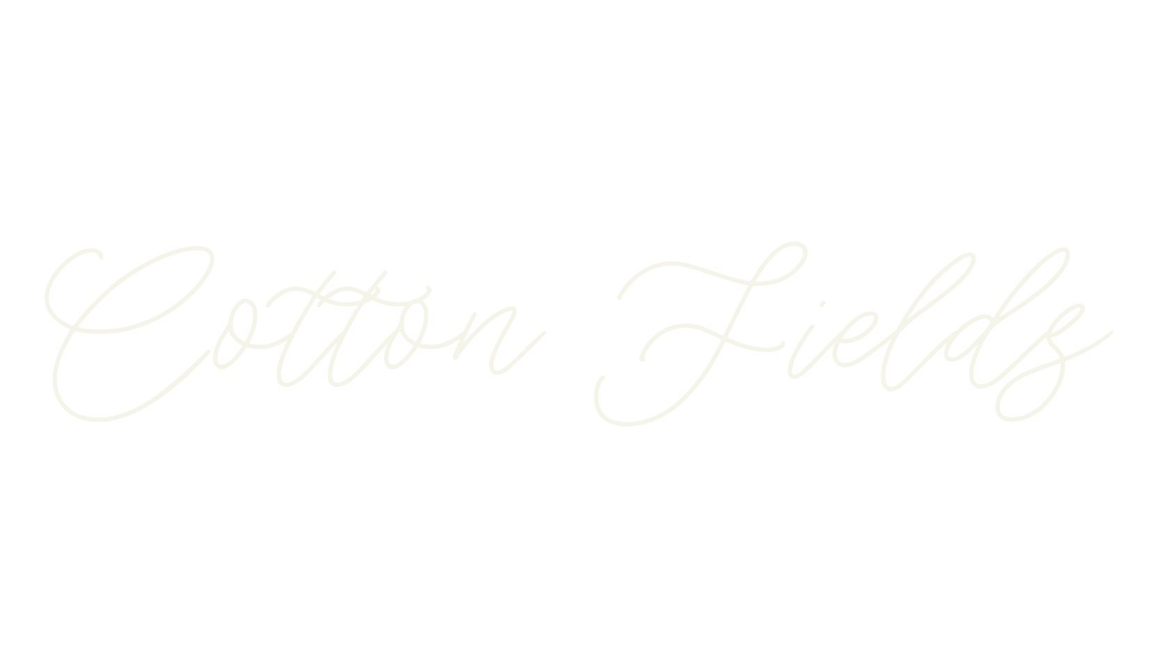 Cotton Fields, fashion script font preview