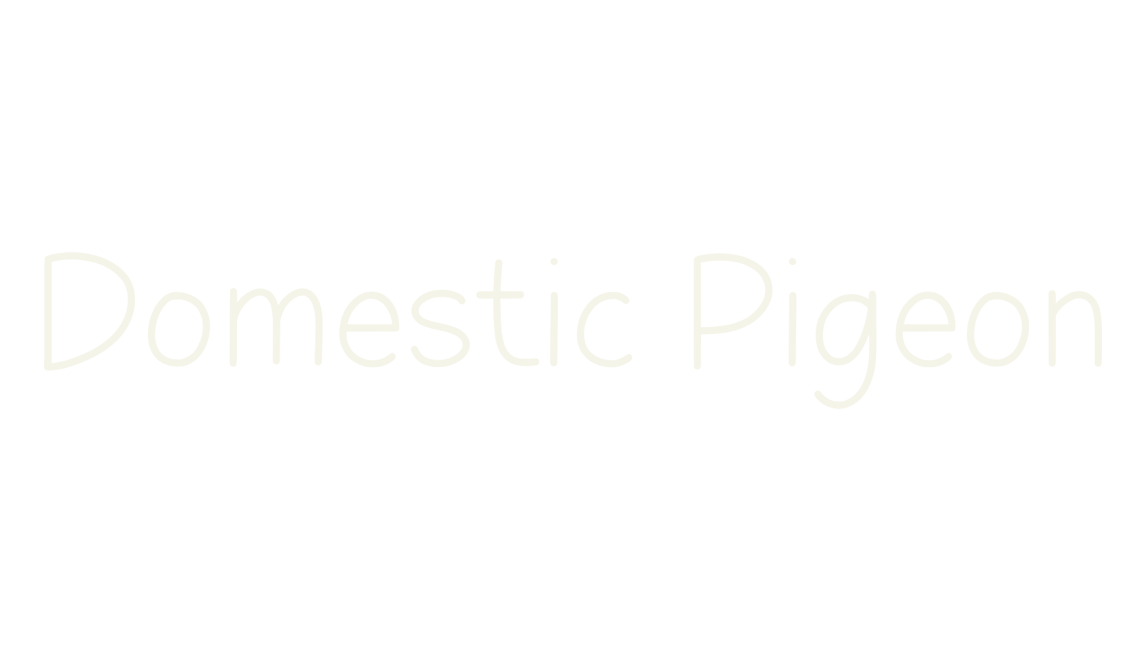 Domestic Pigeon, cute font preview