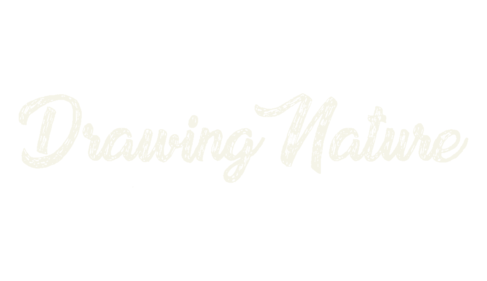 Drawing Nature, fashion script font preview