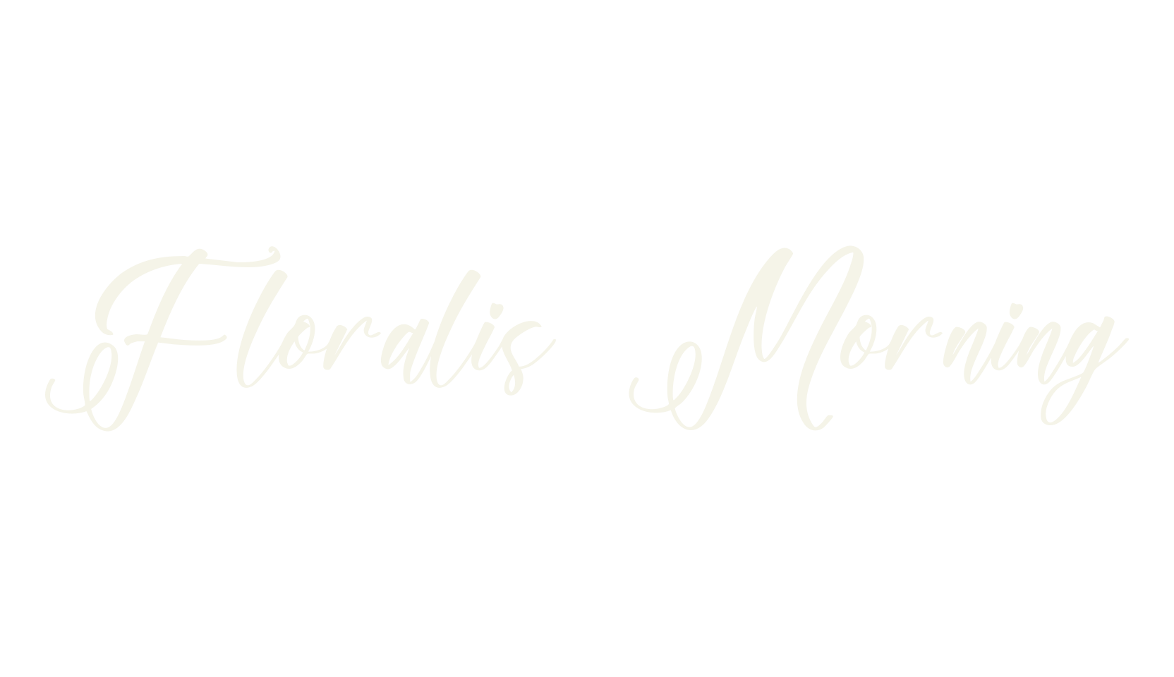 Floralis Morning, calligraphy font preview