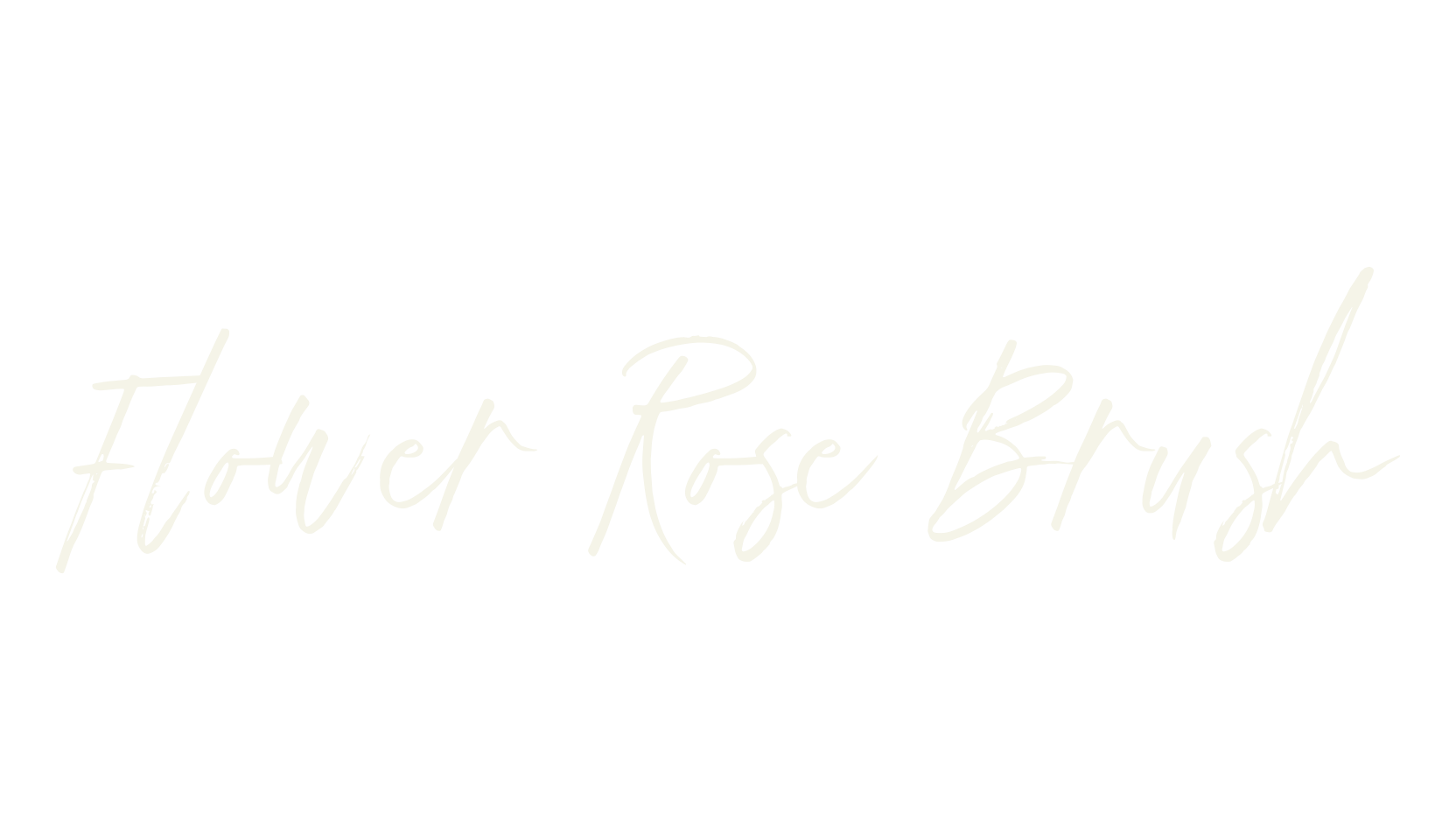 Flower Rose Brush, script font preview
