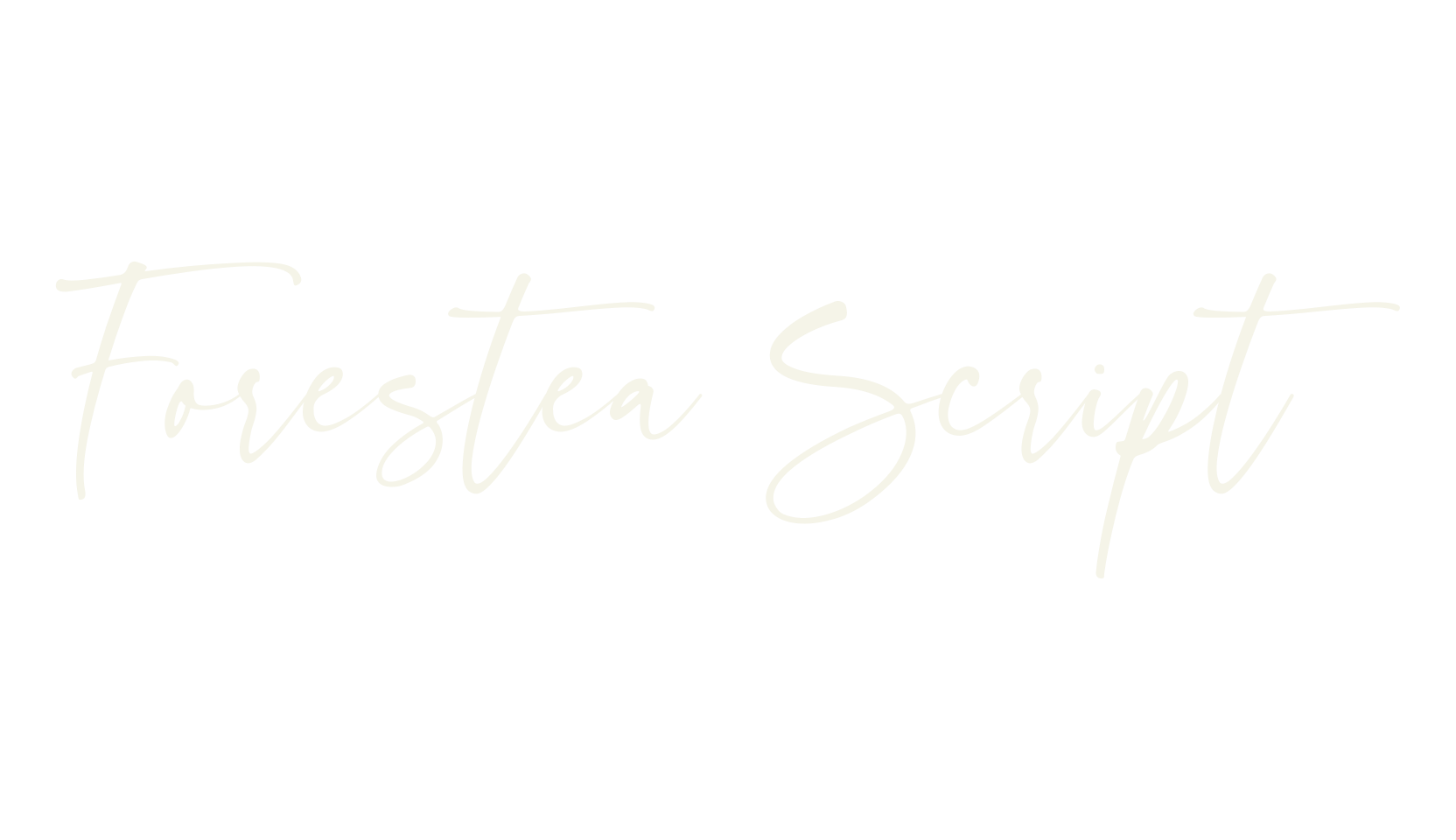 Forestea Script, script font preview