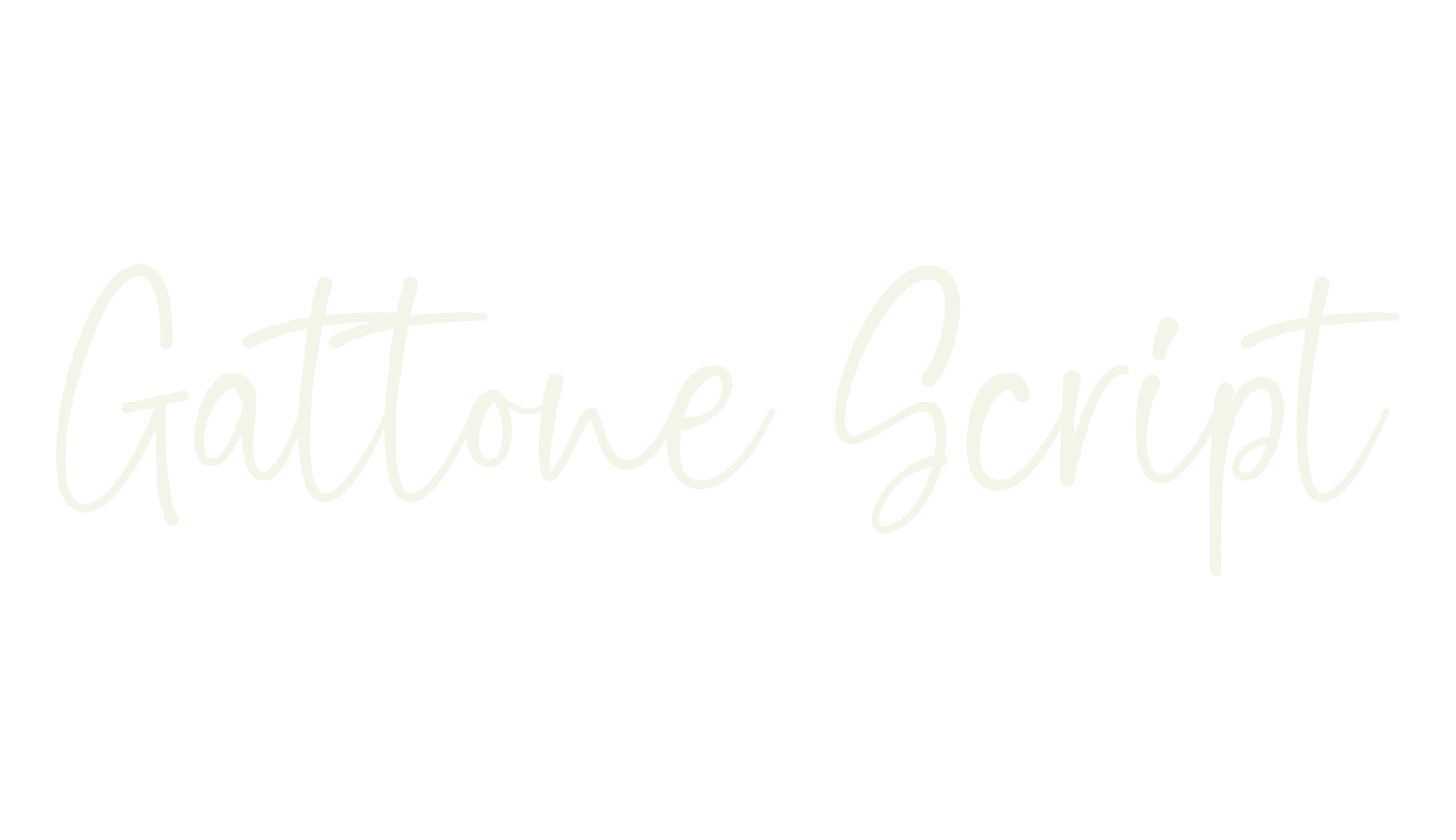 Gattone Script, script font preview