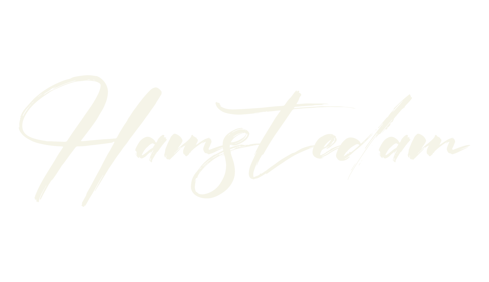 Hamstedam, script font preview
