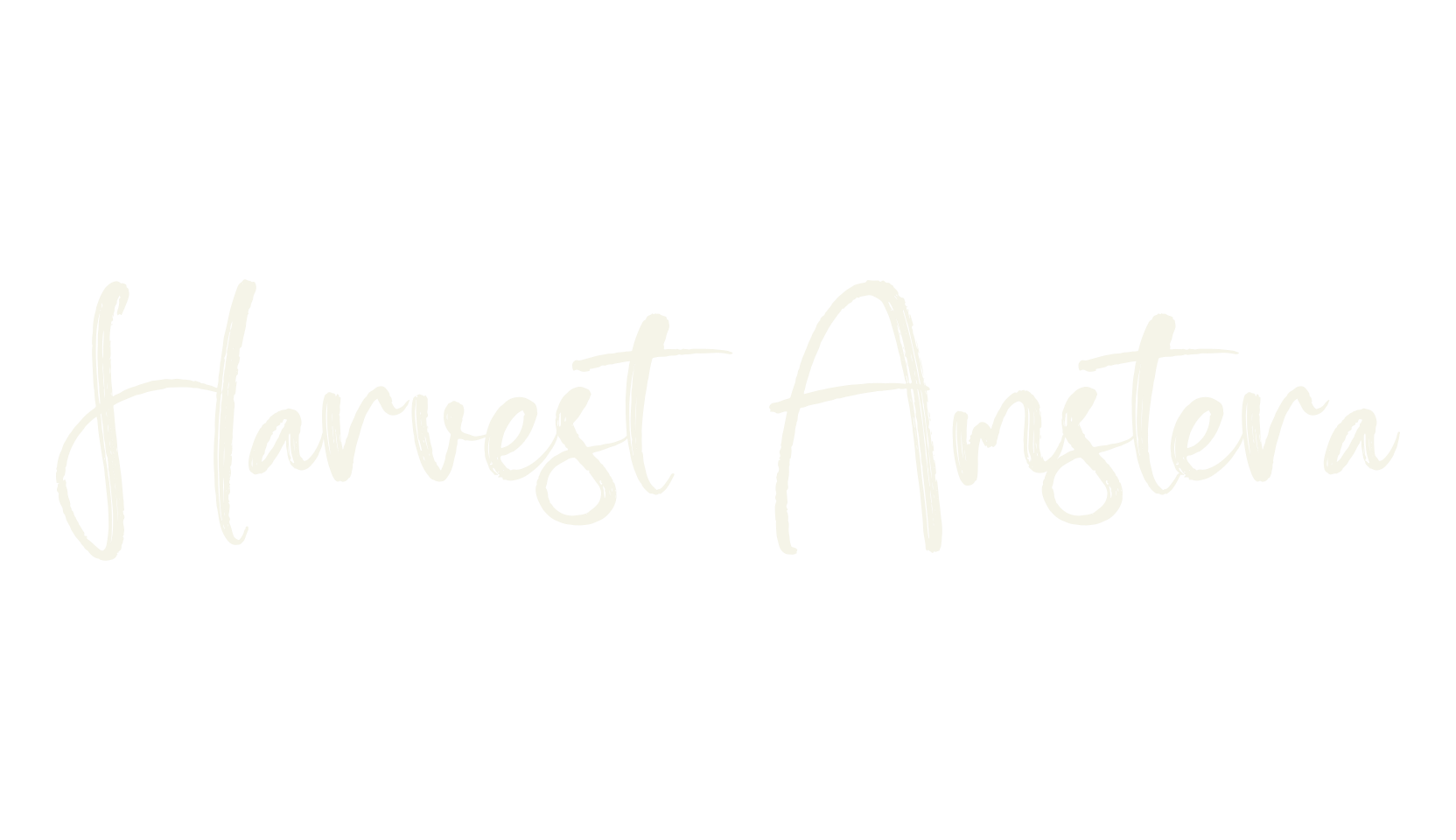 Harvest Amstera, script font preview