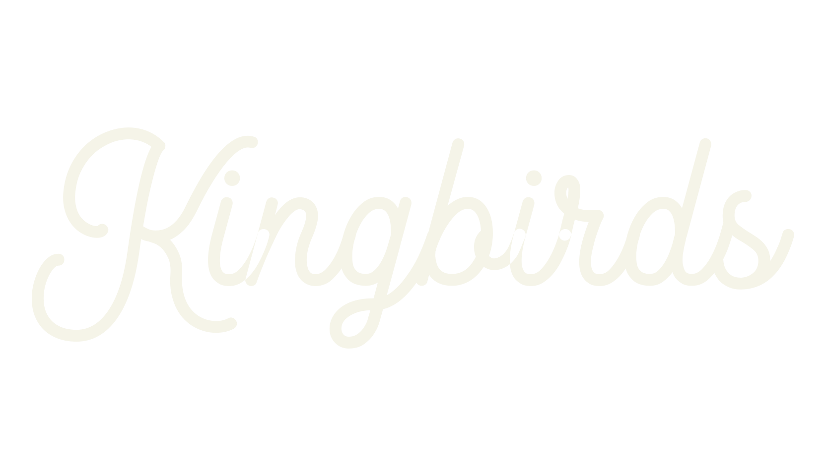 Kingbirds, fashion script font preview
