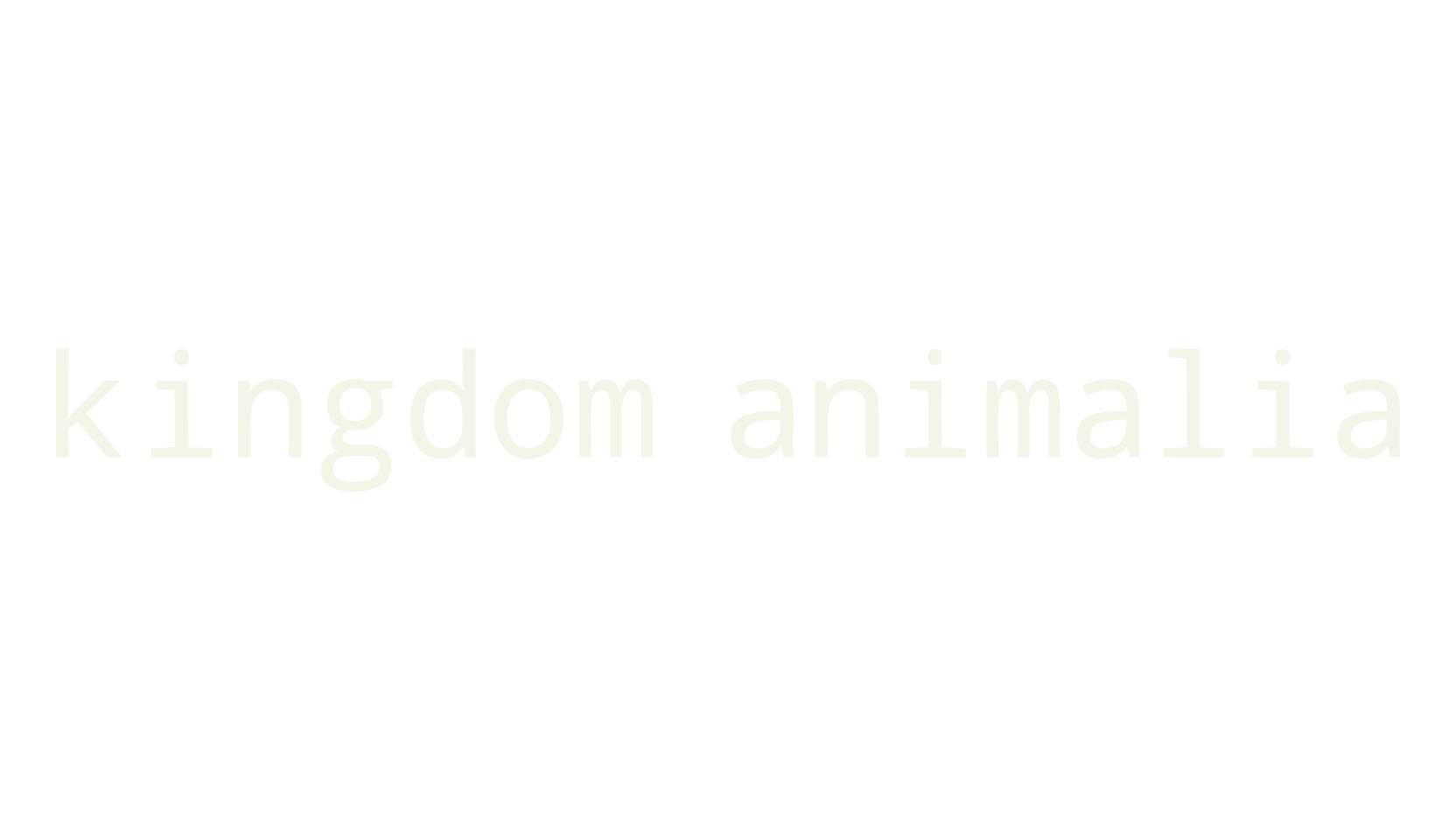kingdom animalia, animal font preview
