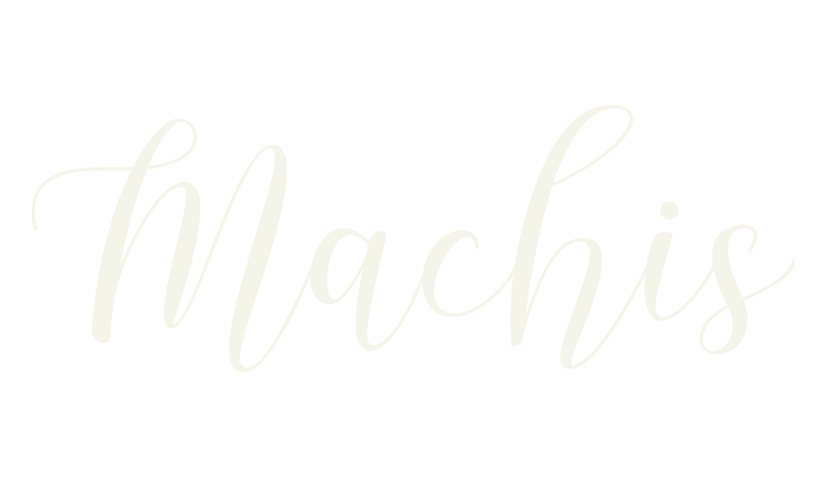 Machis, calligraphy font preview