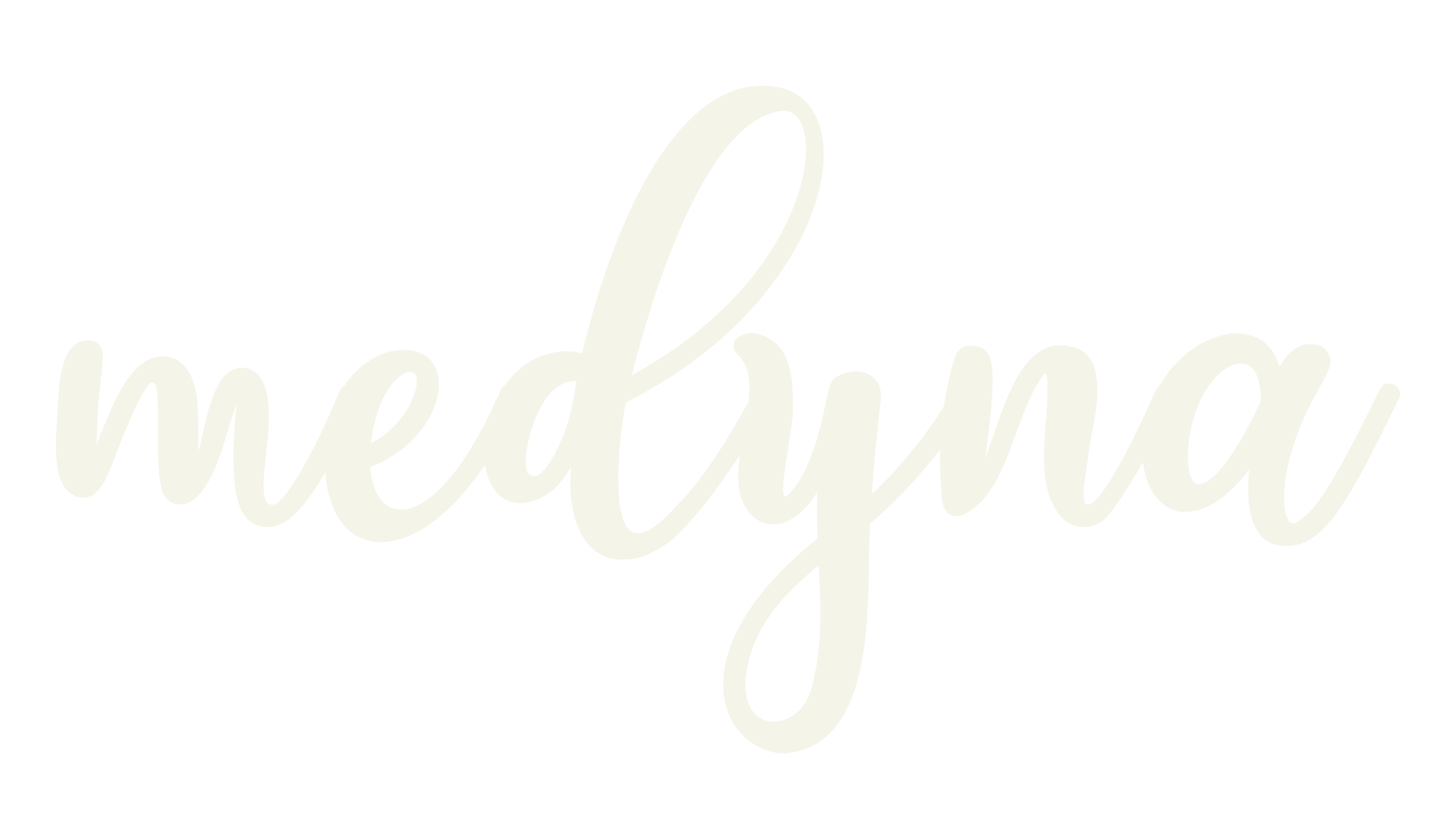 medyna, calligraphy font preview
