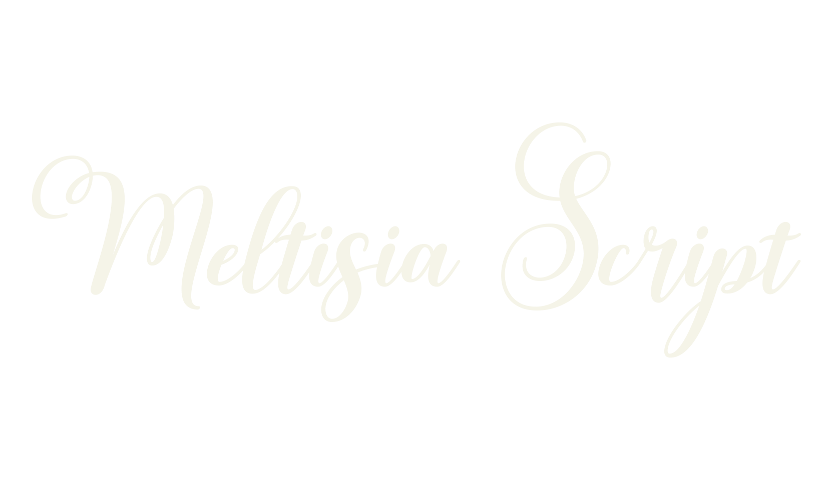 Meltisia Script, calligraphy font preview