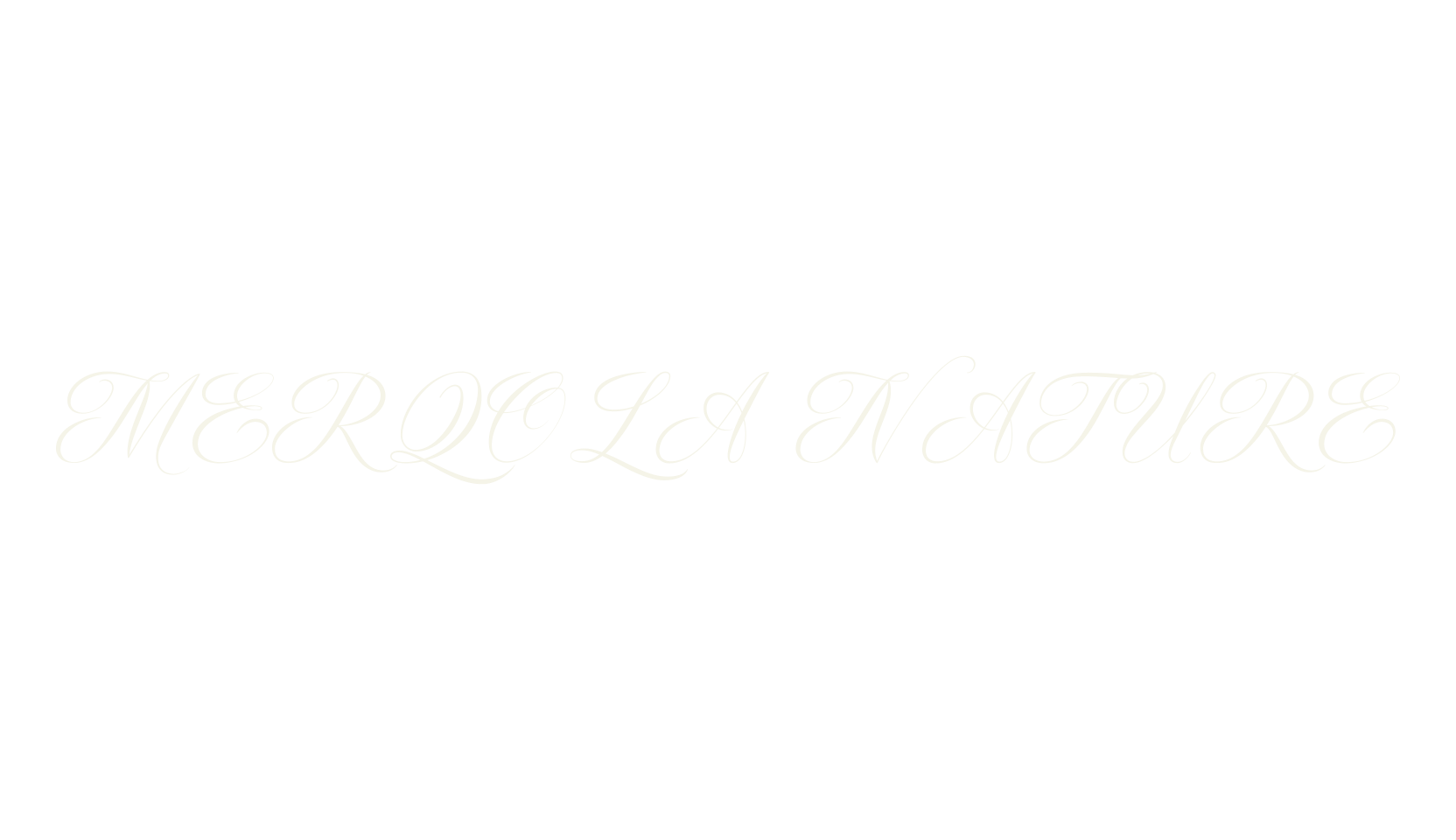MERQOLA NATURE, serif font preview