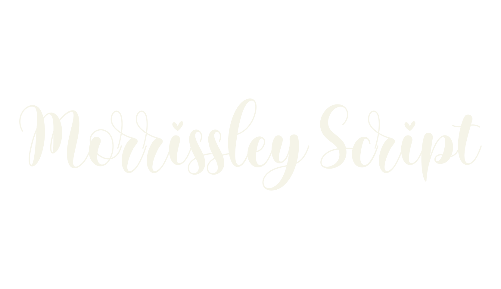 Morrissley Script, script font preview