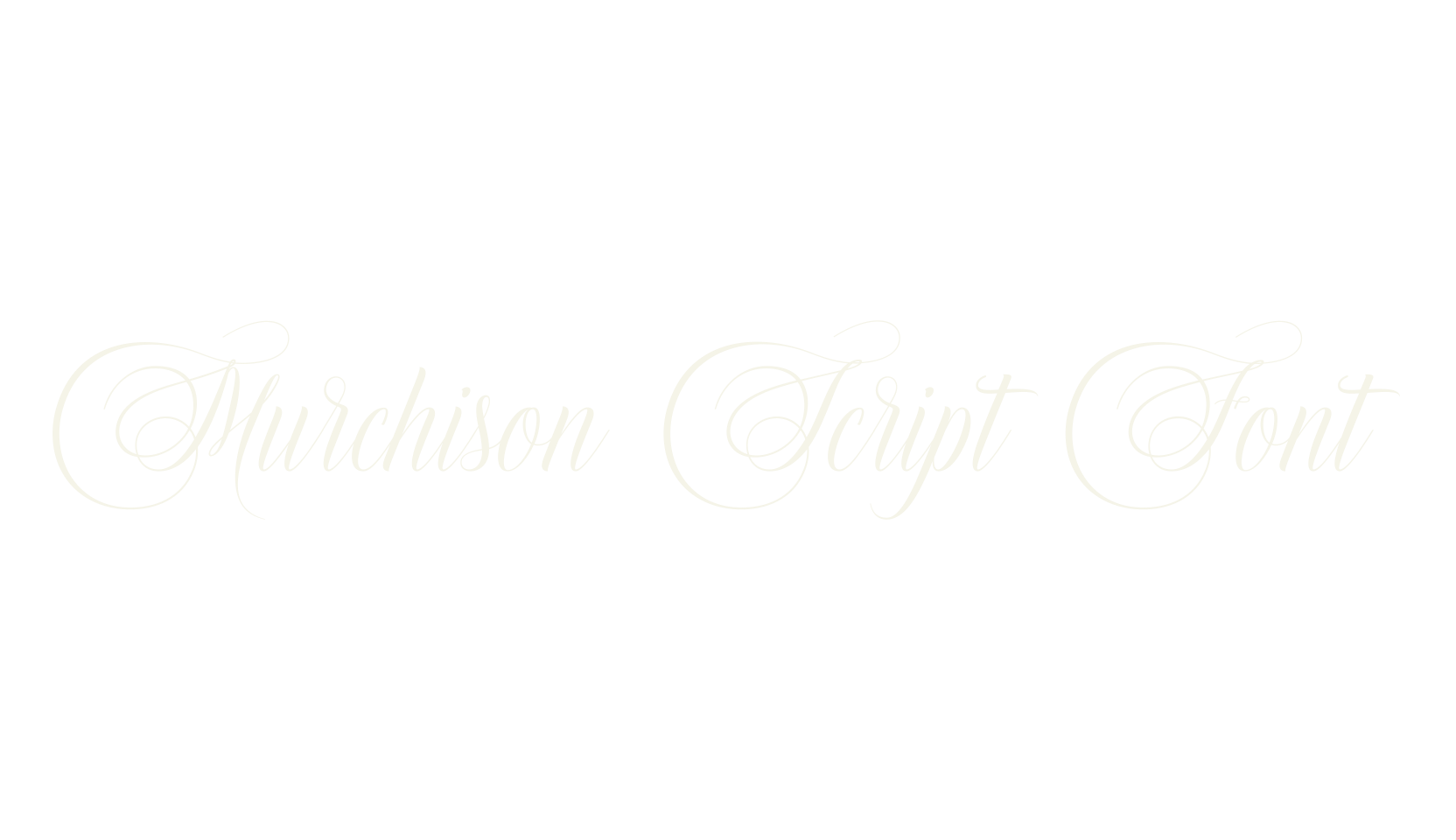 Murchison Script Font, script font preview