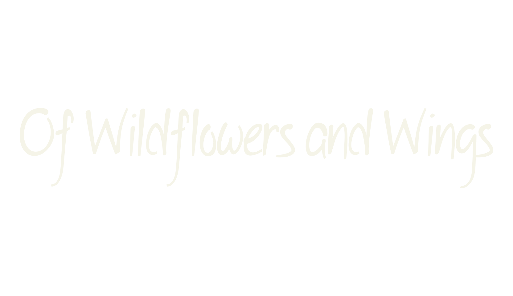 Of Wildflowers and Wings, handwritten font preview